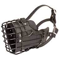 Rubber Covered Wire Cage Dog Muzzle for Wintertime