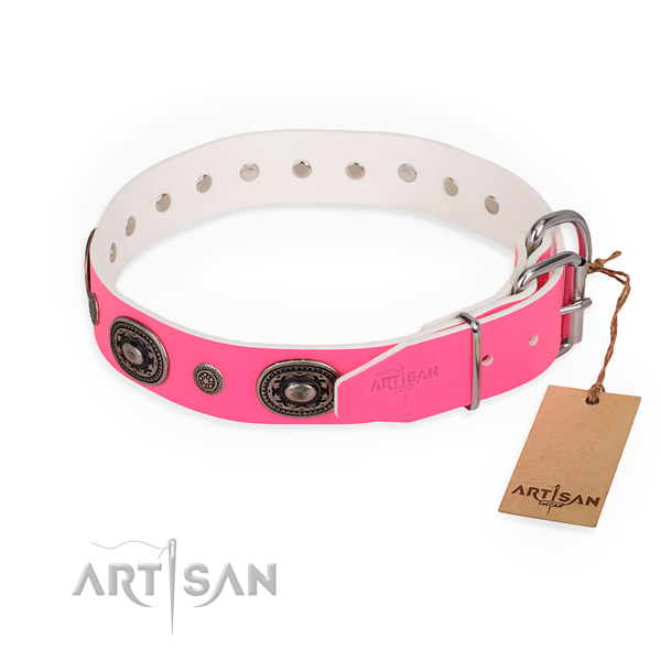 Comfortable wearing amazing dog collar with corrosion resistant hardware