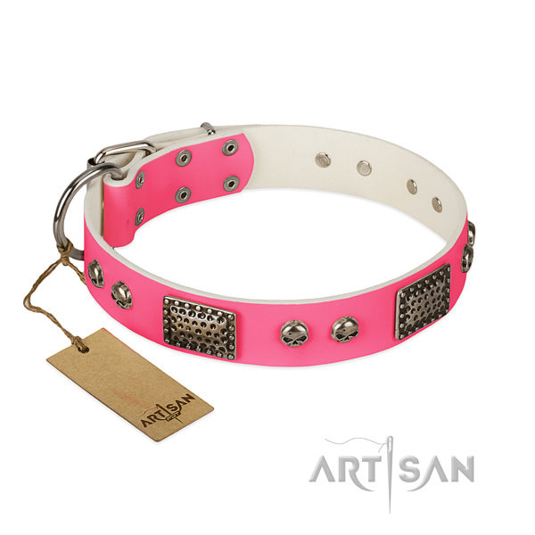 Easy wearing leather dog collar for everyday walking your doggie