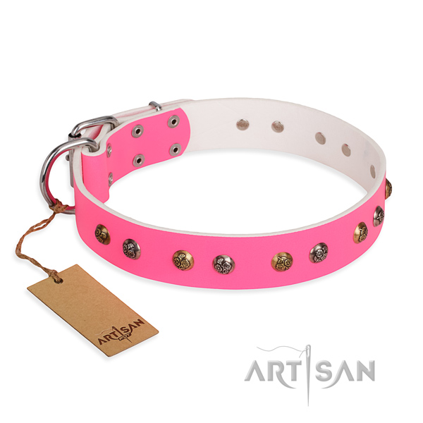 Daily walking inimitable dog collar with reliable hardware