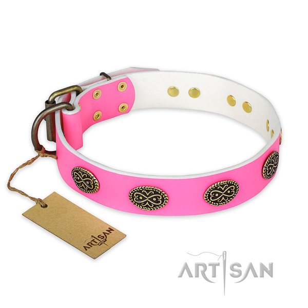 Inimitable leather dog collar for daily use