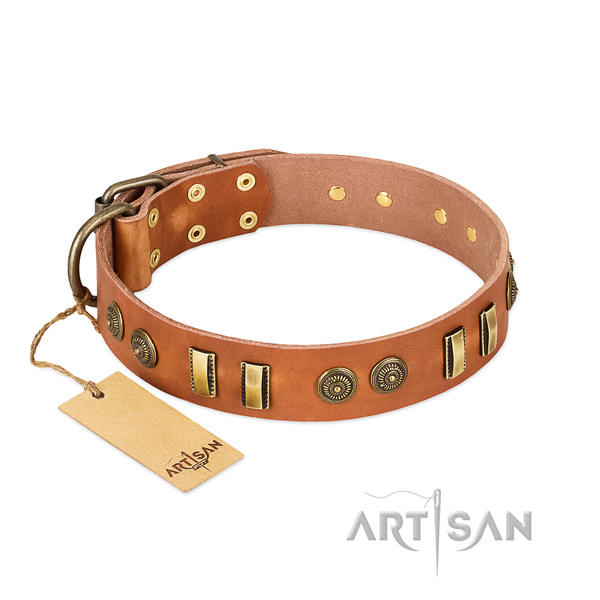 Rust-proof hardware on full grain genuine leather dog collar for your dog
