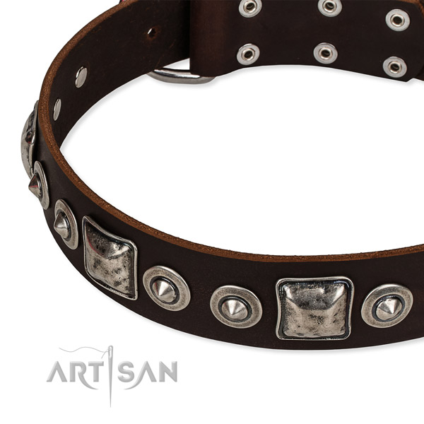 High quality full grain leather dog collar made for your impressive canine