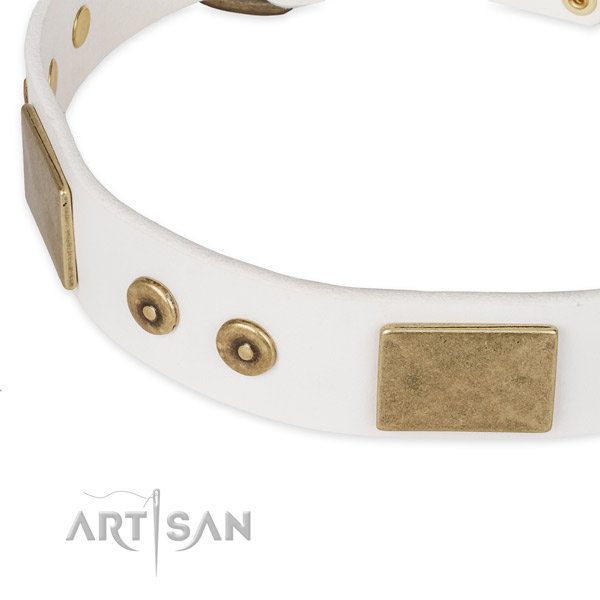 Reliable adornments on full grain leather dog collar for your four-legged friend