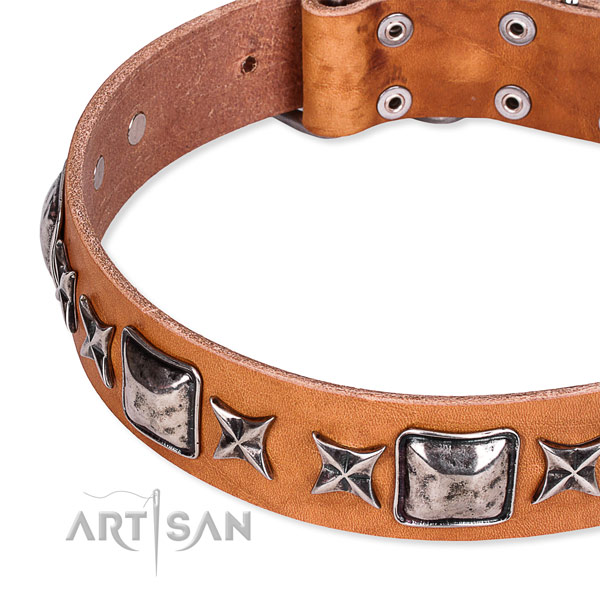 Walking embellished dog collar of fine quality full grain leather