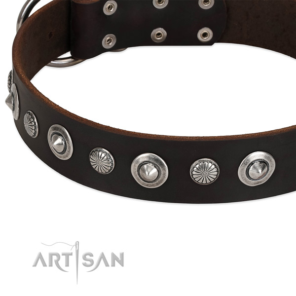 Unique studded dog collar of fine quality genuine leather