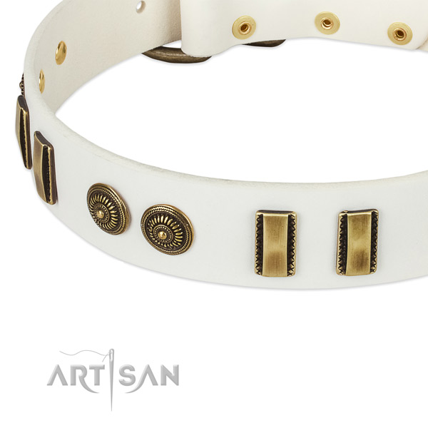 Corrosion proof traditional buckle on full grain genuine leather dog collar for your canine