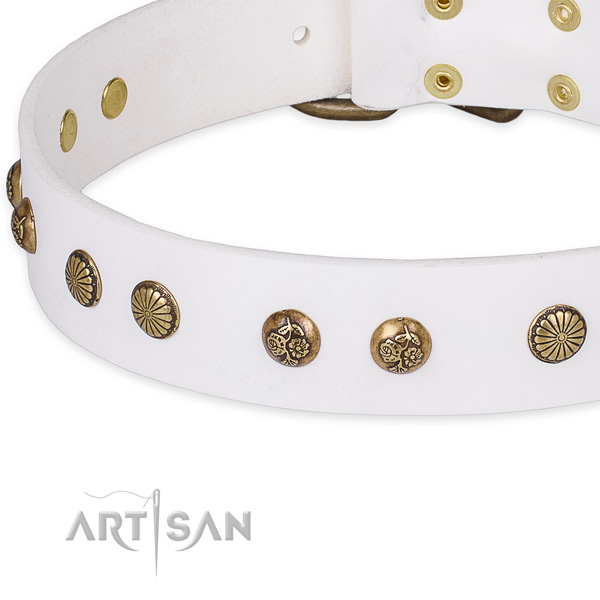 Natural genuine leather collar with rust resistant hardware for your handsome dog