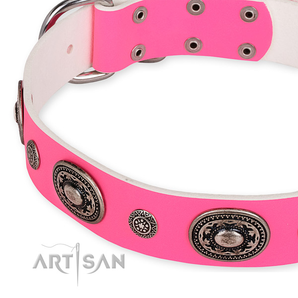 Full grain leather dog collar with unique reliable decorations
