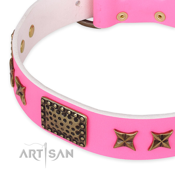 Full grain genuine leather collar with strong buckle for your stylish doggie
