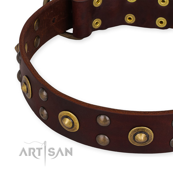 Full grain genuine leather collar with rust-proof hardware for your lovely dog