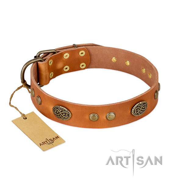 Rust-proof adornments on full grain leather dog collar for your four-legged friend
