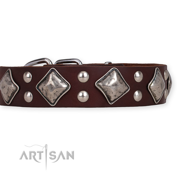 Leather dog collar with amazing rust resistant decorations