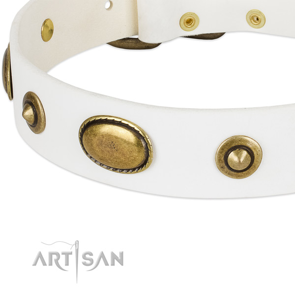 Rust resistant studs on leather dog collar for your dog