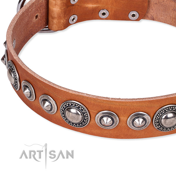 Handy use embellished dog collar of durable full grain natural leather