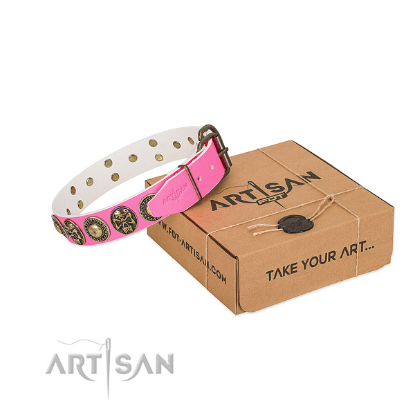 Rust-proof hardware on dog collar for everyday walking