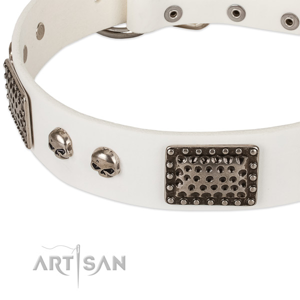 Durable embellishments on full grain natural leather dog collar for your dog