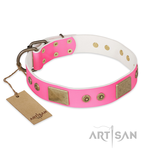 Stunning genuine leather dog collar for everyday walking