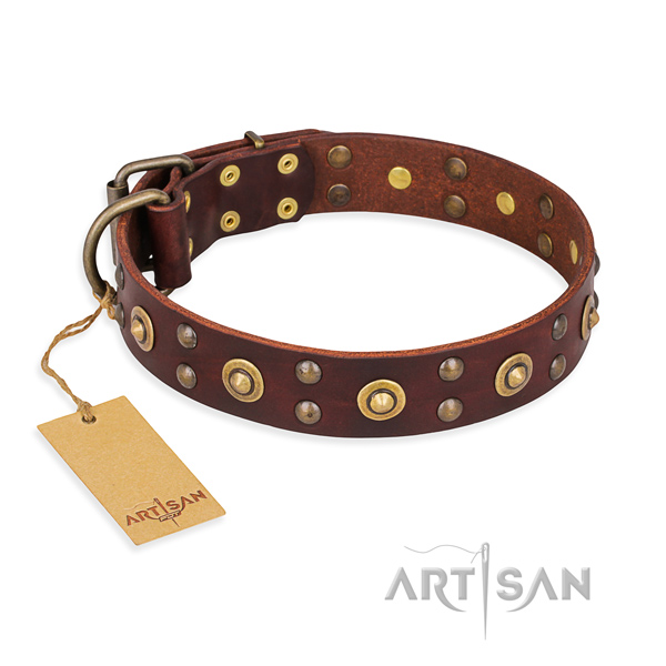 Studded full grain genuine leather dog collar with rust-proof D-ring