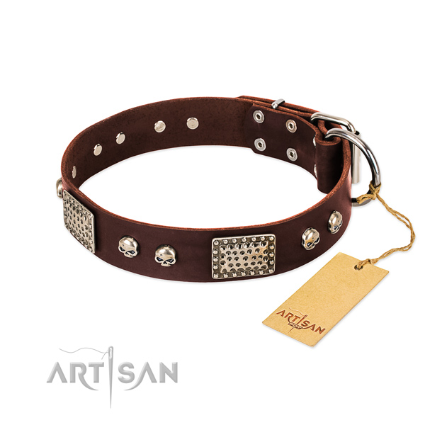 Easy to adjust genuine leather dog collar for daily walking your four-legged friend