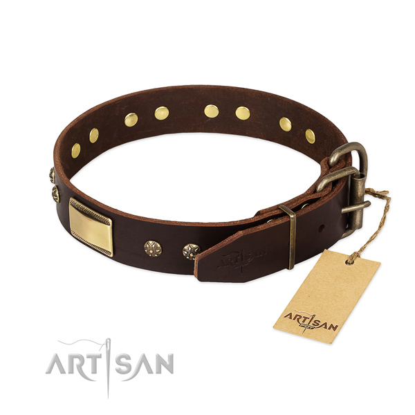 Exceptional genuine leather collar for your canine