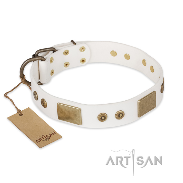 Exquisite leather dog collar for daily use