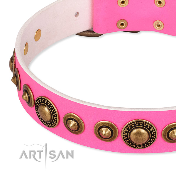 Reliable leather dog collar created for your impressive doggie
