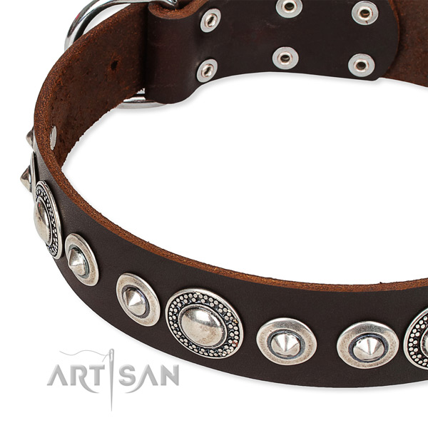 Stylish walking embellished dog collar of top notch full grain genuine leather