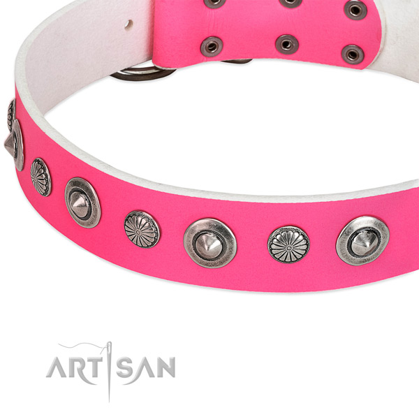 Full grain leather collar with reliable fittings for your stylish pet