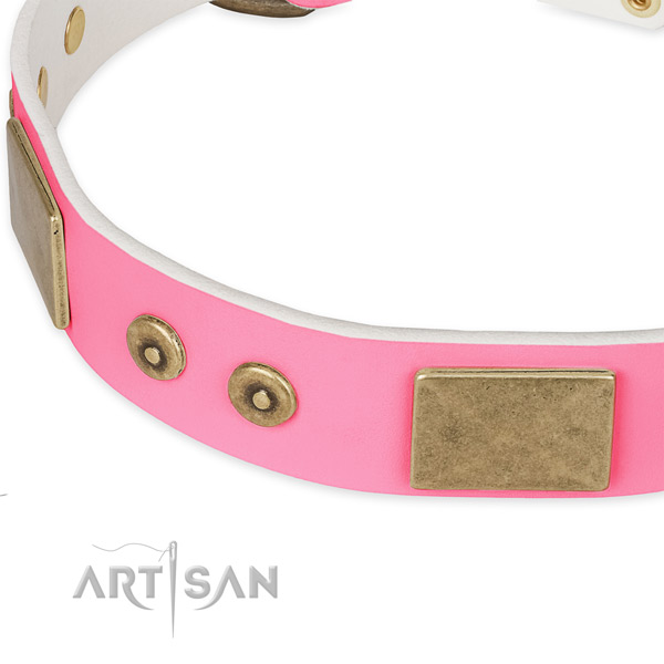 Full grain leather dog collar with adornments for walking