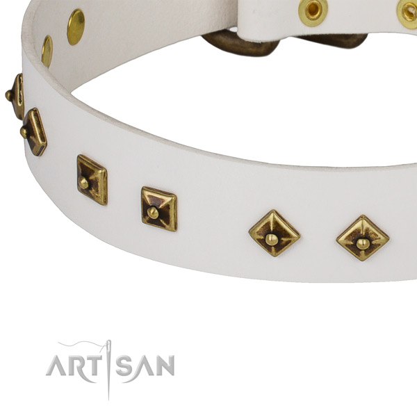 Decorated genuine leather collar for your attractive dog