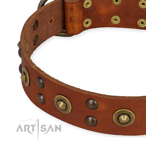 Genuine leather collar with durable fittings for your attractive four-legged friend