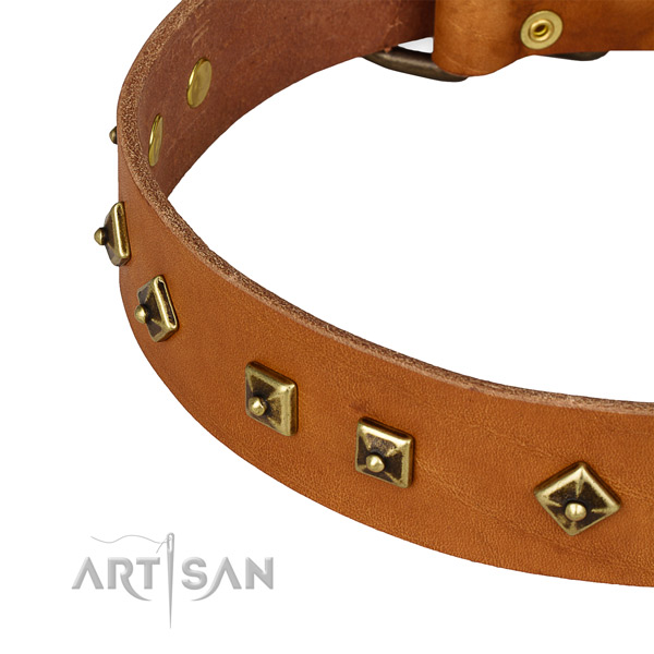 Convenient full grain natural leather collar for your impressive four-legged friend