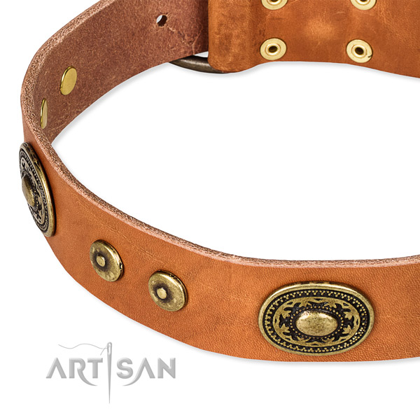 Leather dog collar made of top notch material with studs