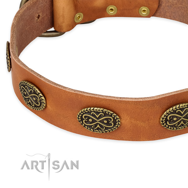 Adorned full grain leather collar for your impressive dog