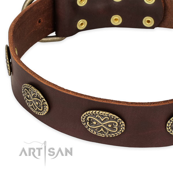 Remarkable full grain leather collar for your beautiful canine