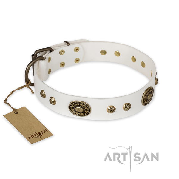Remarkable full grain natural leather dog collar for walking