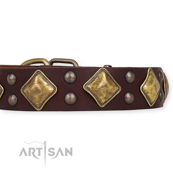 Genuine leather dog collar with trendy durable decorations