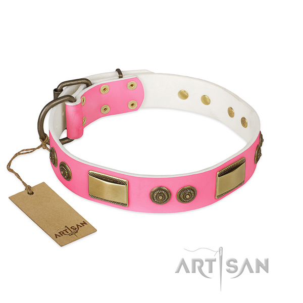 Fashionable genuine leather dog collar for everyday use
