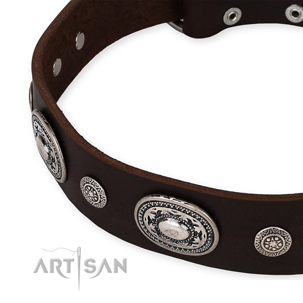 Quality full grain leather dog collar created for your lovely doggie