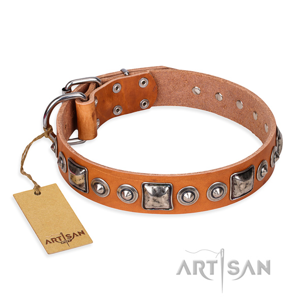 Leather dog collar made of reliable material with rust-proof hardware