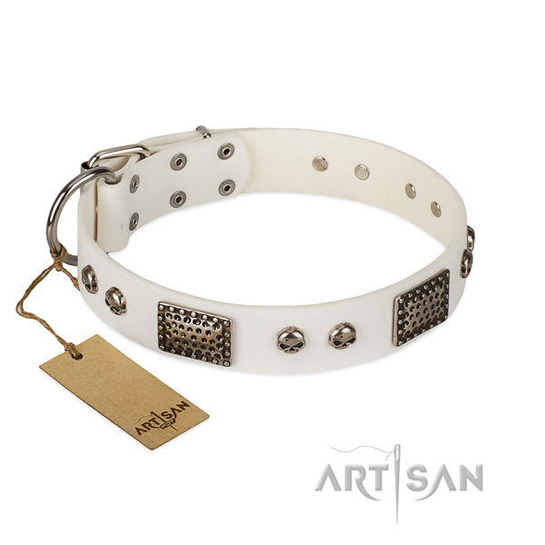 Easy adjustable genuine leather dog collar for basic training your pet