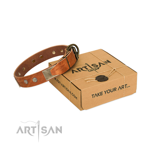 Reliable buckle on dog collar for comfy wearing
