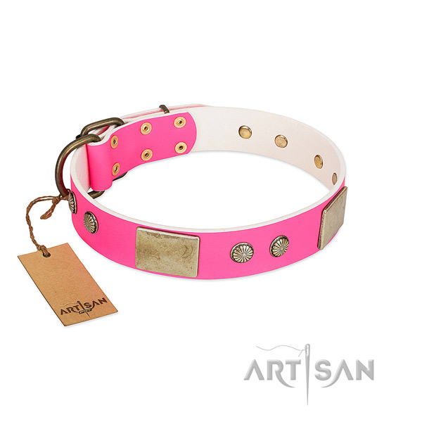 Easy to adjust full grain natural leather dog collar for everyday walking your four-legged friend