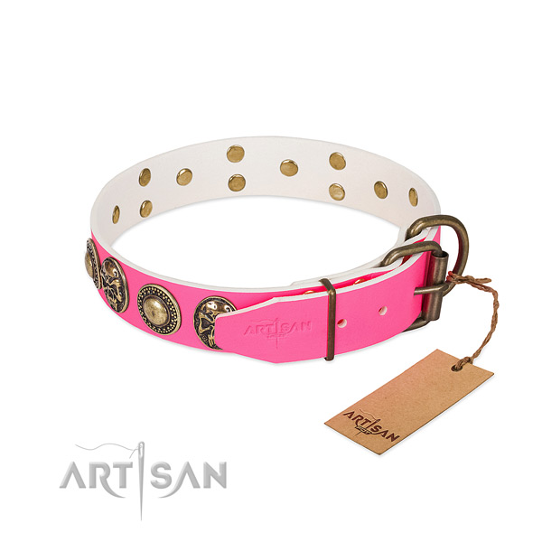 Strong fittings on daily use dog collar