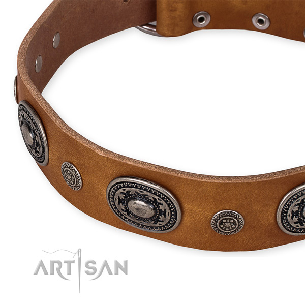 Quality full grain natural leather dog collar made for your beautiful doggie