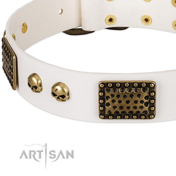 Rust resistant decorations on full grain genuine leather dog collar for your doggie