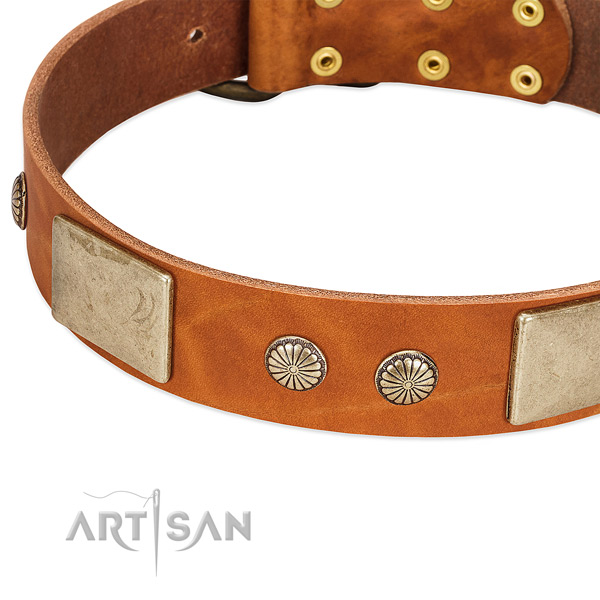 Strong buckle on full grain leather dog collar for your pet