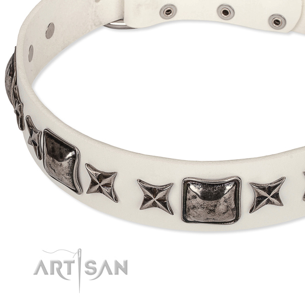 Everyday use decorated dog collar of best quality full grain natural leather