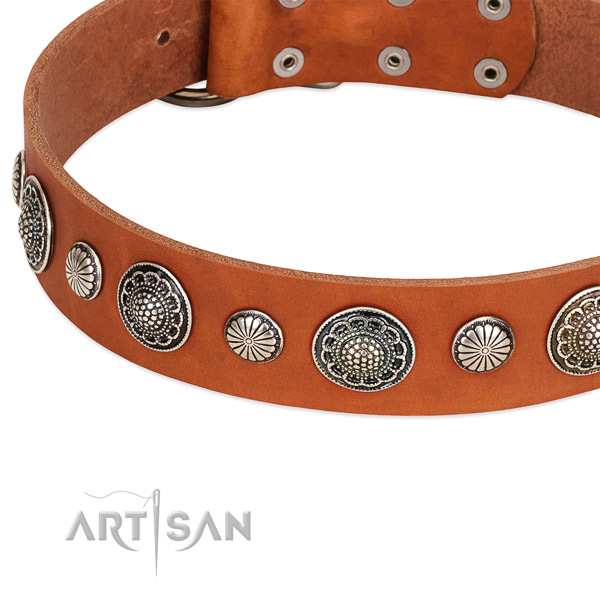 Full grain leather collar with strong D-ring for your attractive doggie